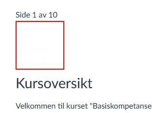 Screenshot of the exit button